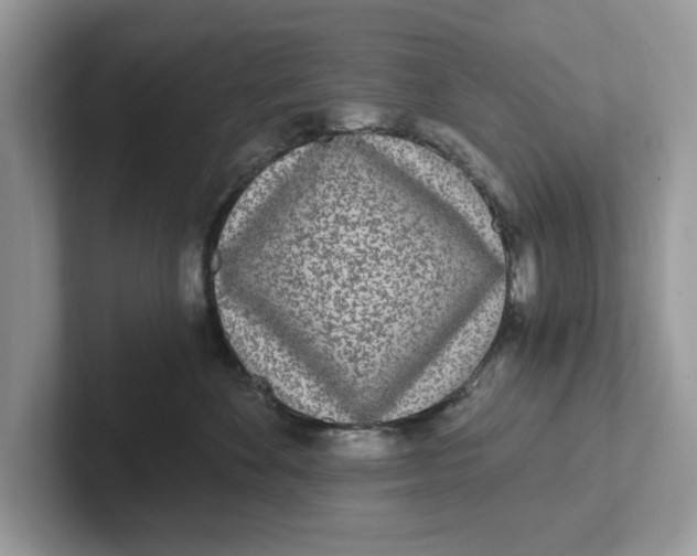 X0000101460524200807281002