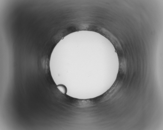 X0000101460525200807281002