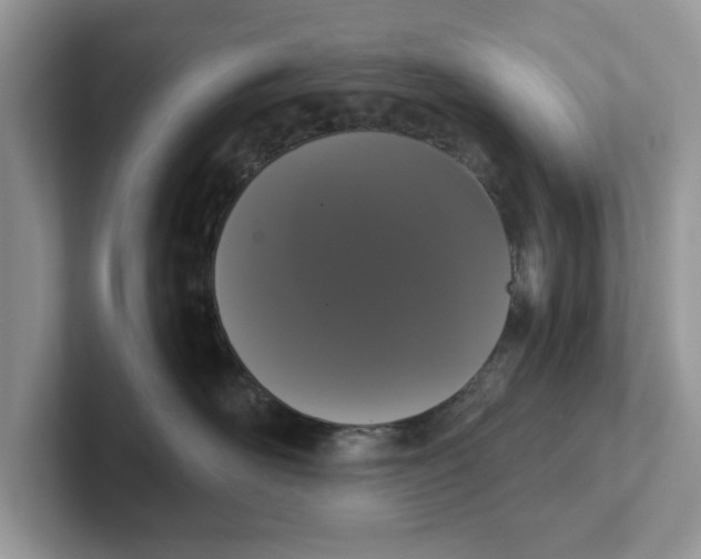 X0000101460526200807281002