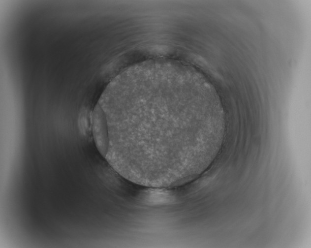 X0000101460528200807281002