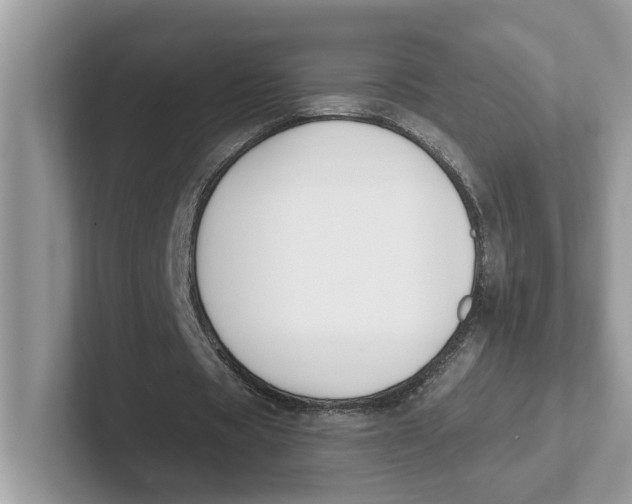 X0000101460529200807281001