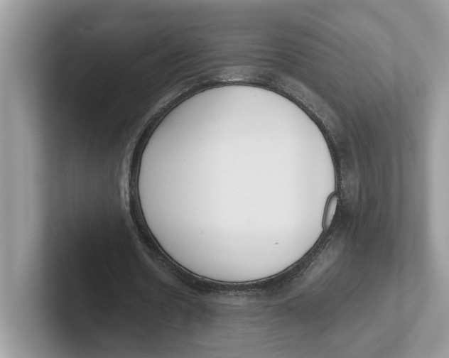 X0000101460530200807281001