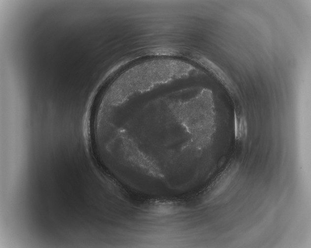 X0000101460531200807281001