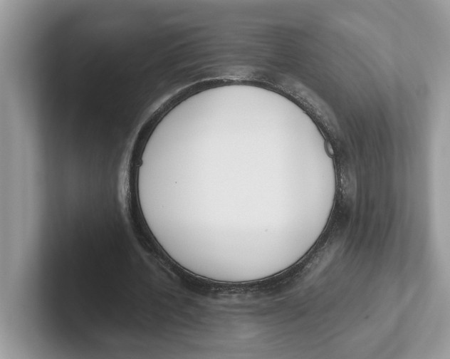 X0000101460532200807281001