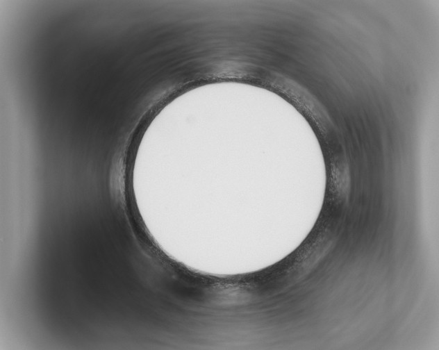 X0000101460534200807281001