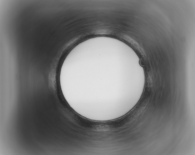 X0000101460535200807281001