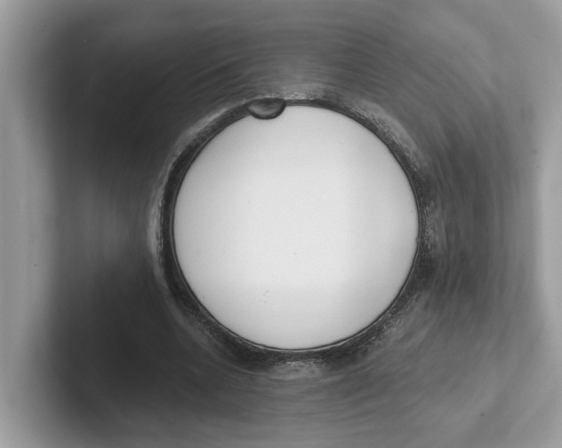 X0000101460536200807281001