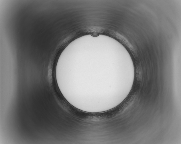 X0000101460538200807281001