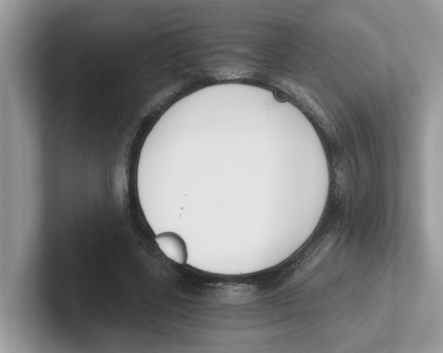 X0000101460539200807281001