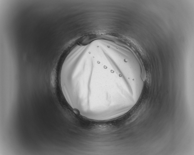 X0000101460540200807281001