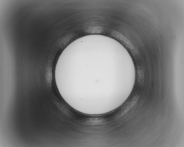 X0000101460541200807281001