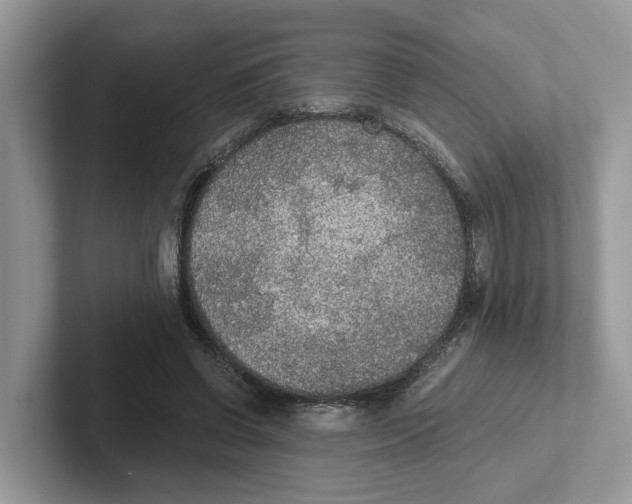 X0000101460542200807281001