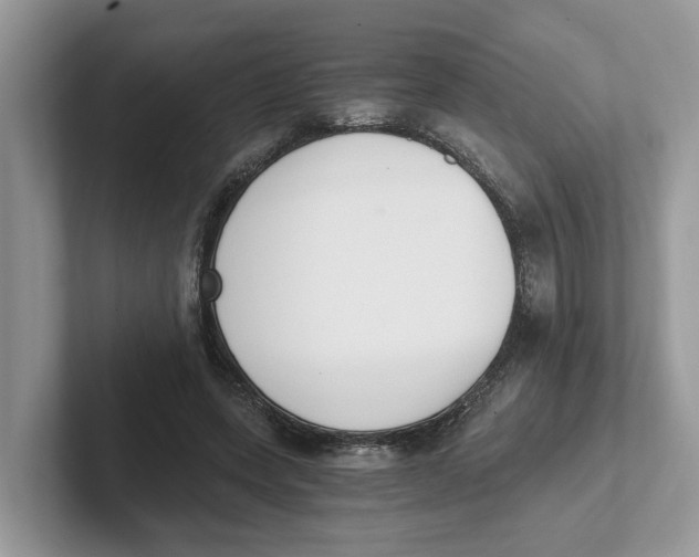 X0000101460543200807281001