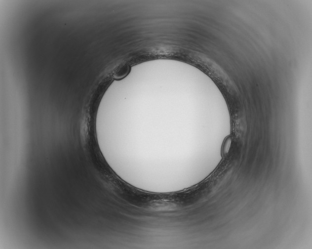 X0000101460544200807281001