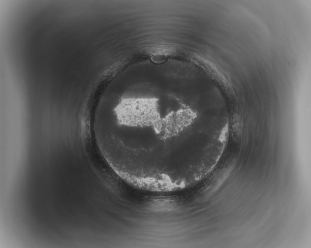 X0000101460547200807281001