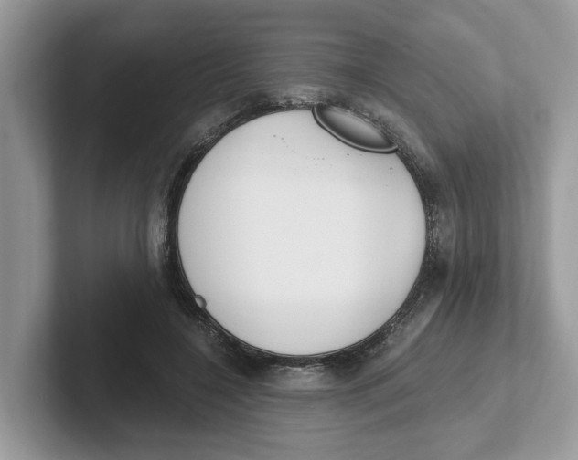 X0000101460548200807281001