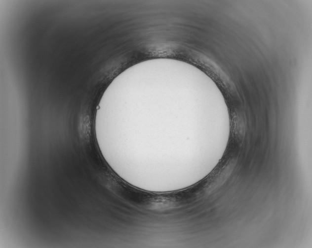 X0000101460549200807281001