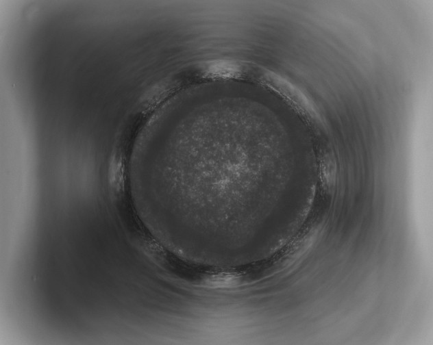 X0000101460551200807281001