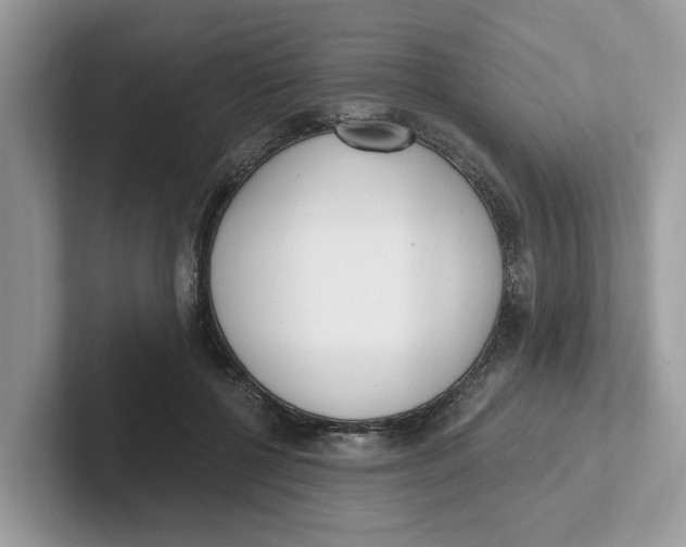 X0000101460552200807281001