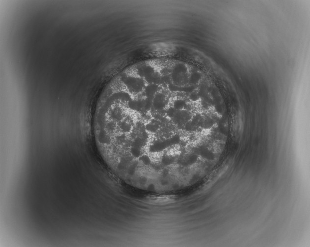 X0000101460553200807281001