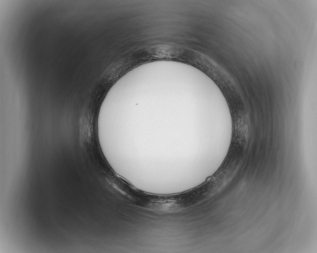 X0000101460554200807281001