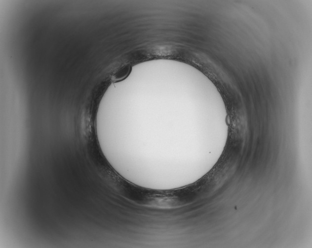 X0000101460555200807281001