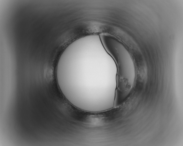 X0000101460556200807281001