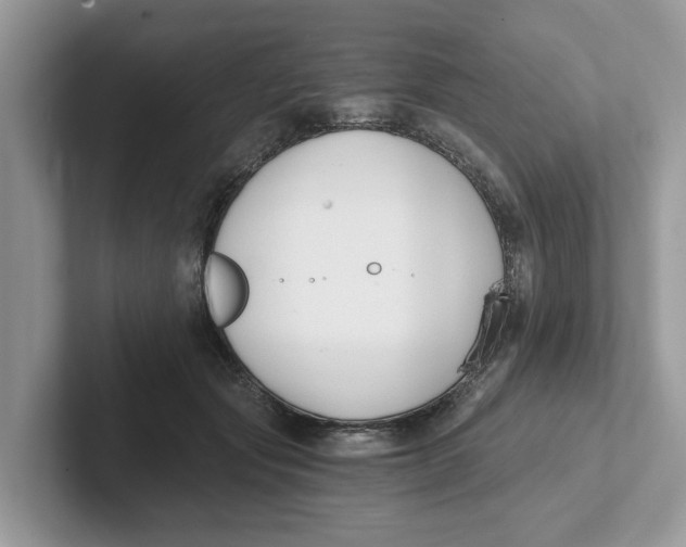 X0000101460557200807281001