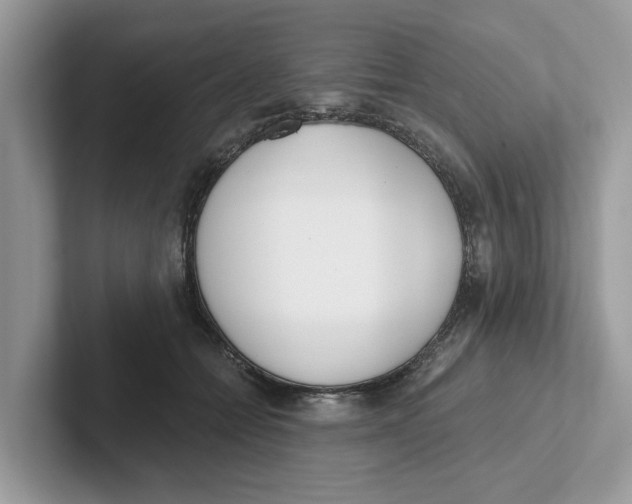 X0000101460558200807281001