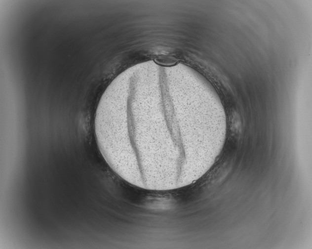 X0000101460559200807281001