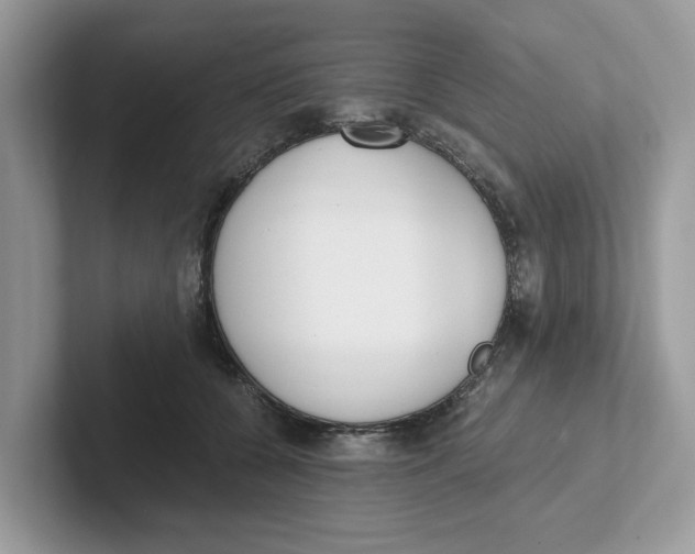 X0000101460560200807281002