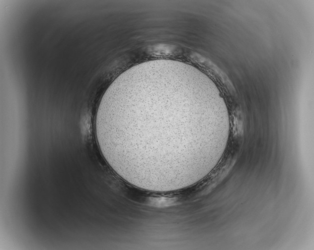 X0000101460561200807281002