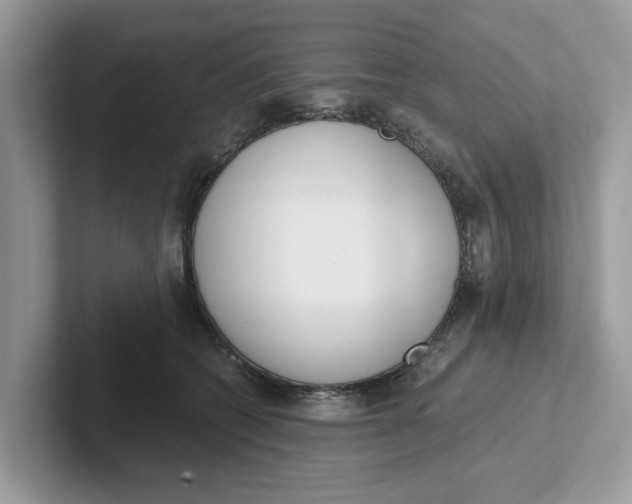 X0000101460562200807281002