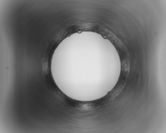 X0000101460564200807281002