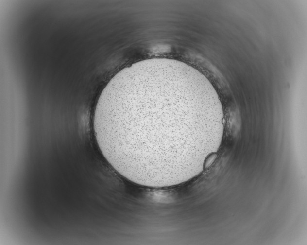 X0000101460565200807281002