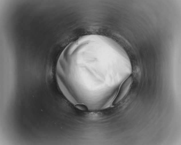 X0000101460566200807281002