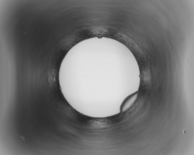 X0000101460567200807281002