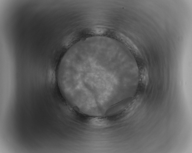 X0000101460568200807281002