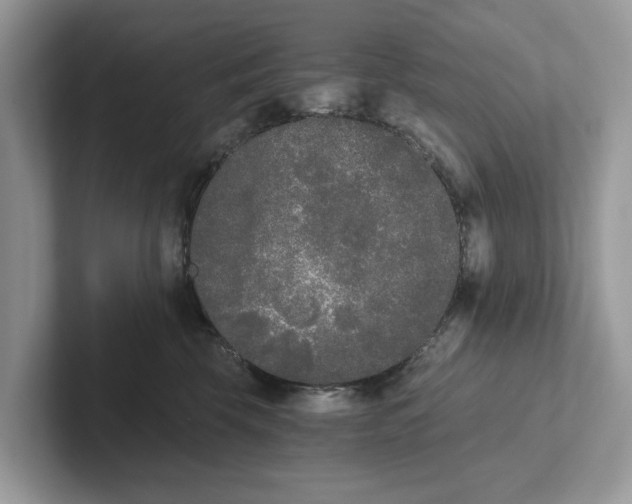 X0000101460569200807281002