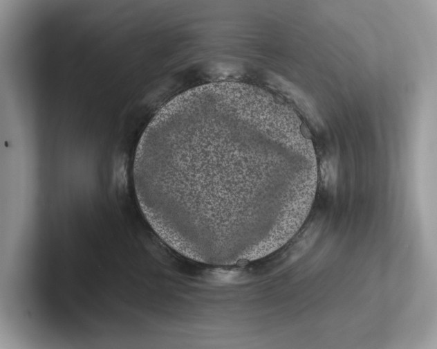 X0000101460570200807281002