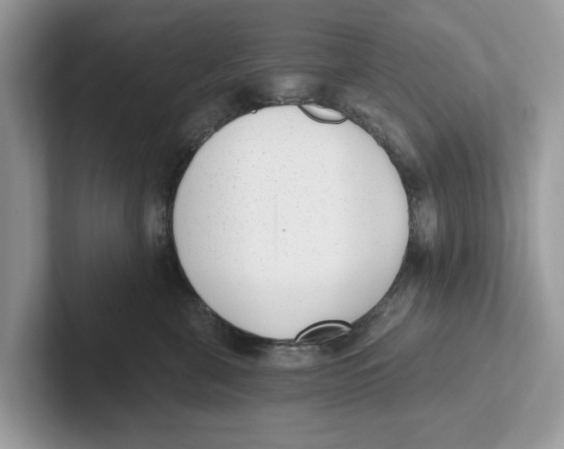 X0000101460571200807281002