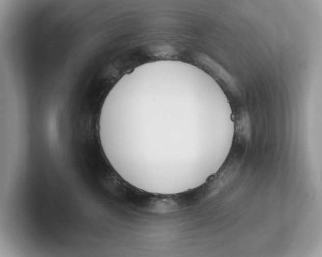 X0000101460572200807281002