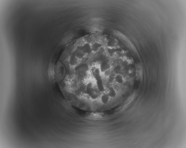 X0000101460573200807281002