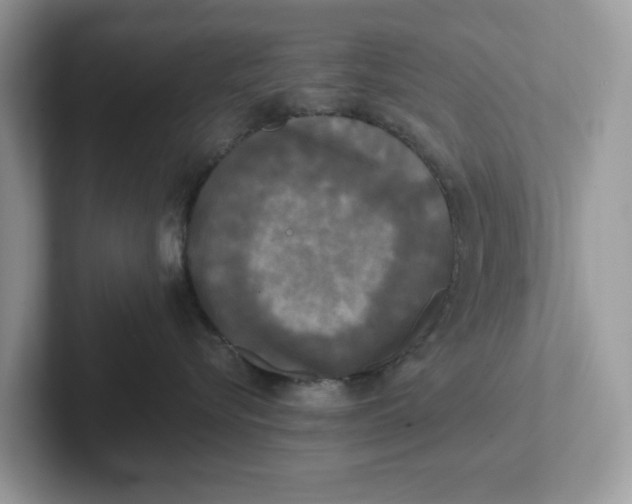 X0000101460576200807281002