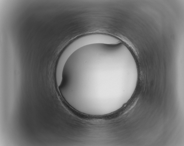 X0000101460577200807281001