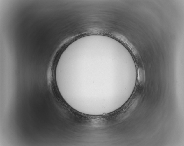 X0000101460579200807281001