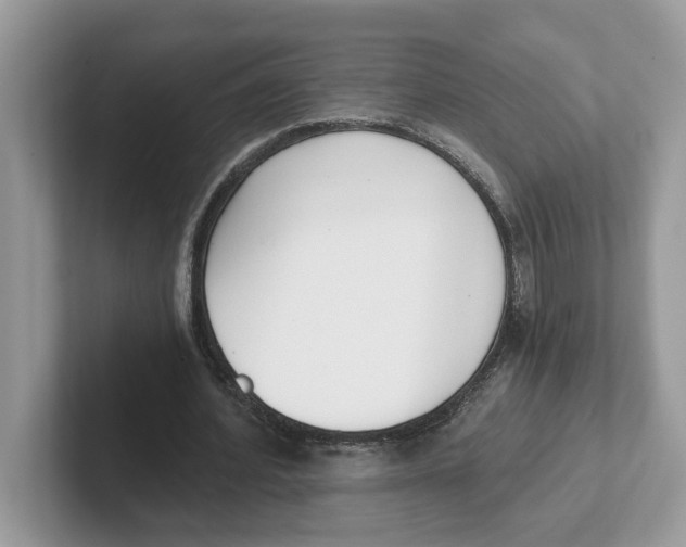 X0000101460580200807281001