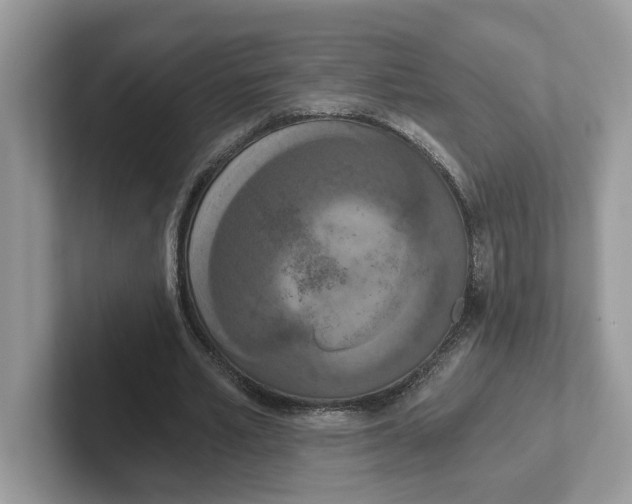 X0000101460581200807281001