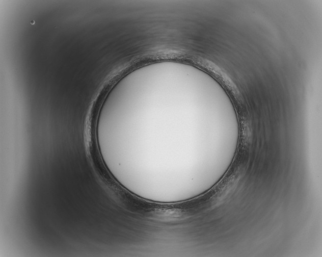 X0000101460582200807281001