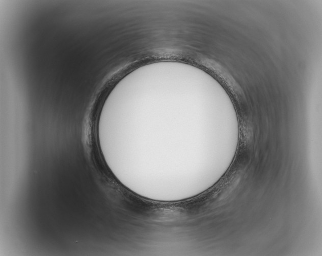 X0000101460583200807281001